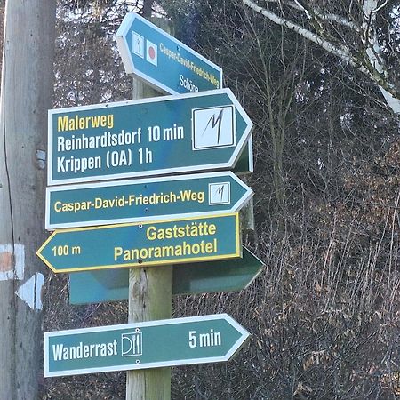 Ferienwohnung Blick Zum Zirkelstein Reinhardtsdorf-Schona Eksteriør bilde