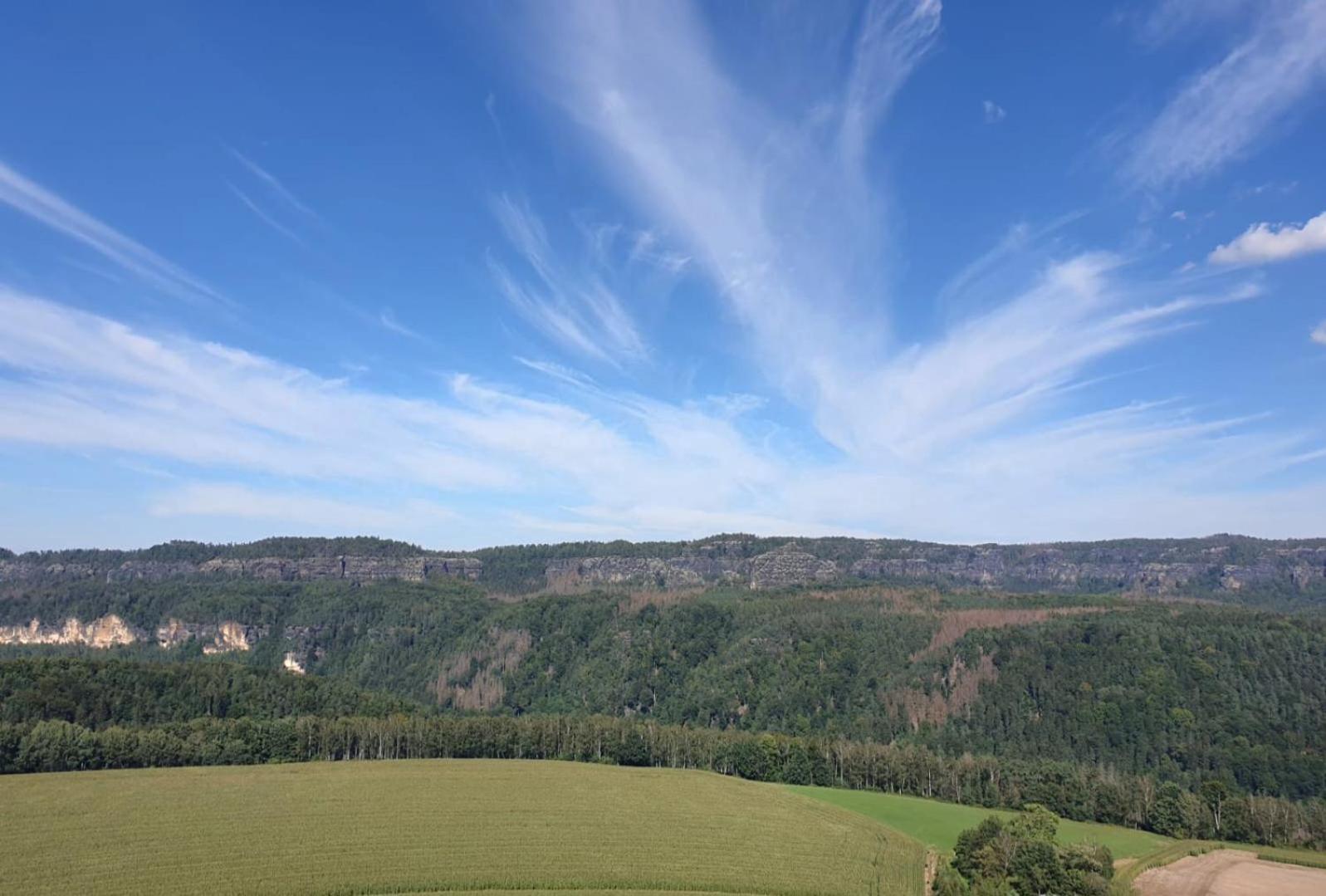Ferienwohnung Blick Zum Zirkelstein Reinhardtsdorf-Schona Eksteriør bilde