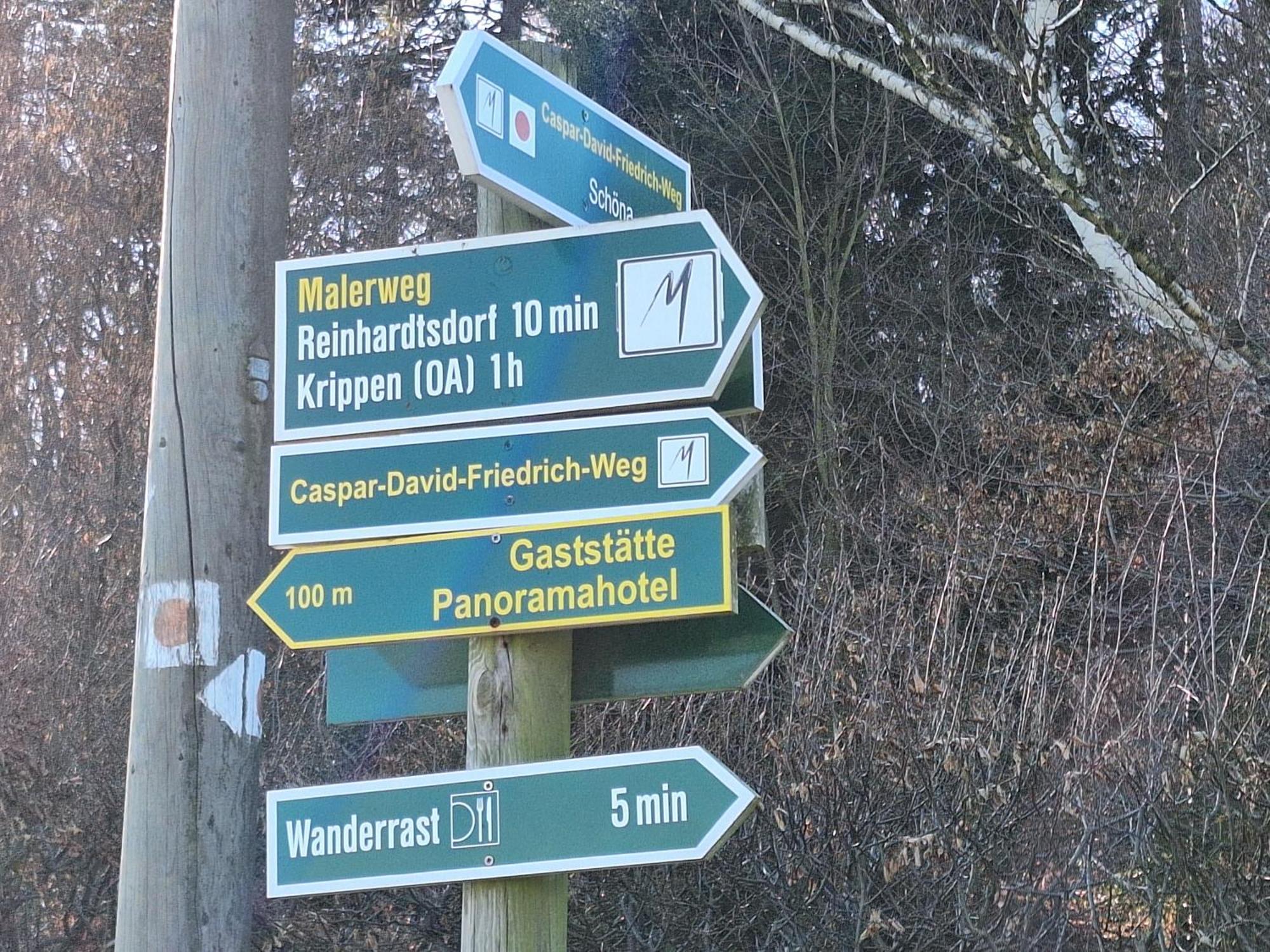 Ferienwohnung Blick Zum Zirkelstein Reinhardtsdorf-Schona Eksteriør bilde